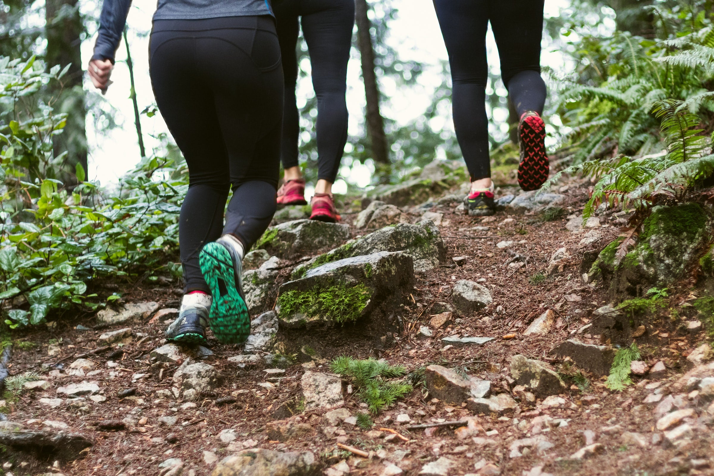 Want to Start a Healthy Lifestyle and Stick to It? Here’s How