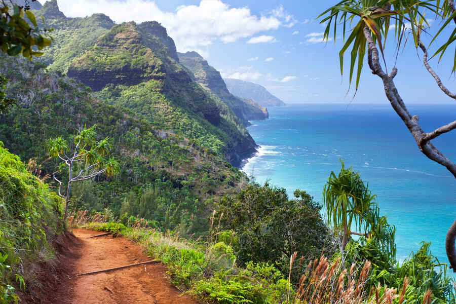 FitSok Hawaii Trail