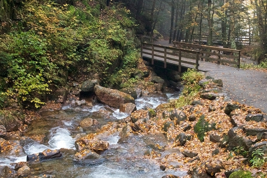 Creek under bridge